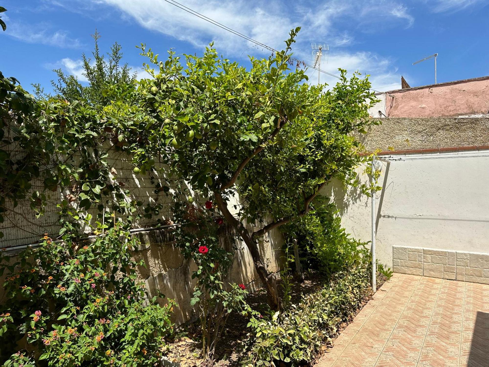 Villa San Leo San Leone Buitenkant foto